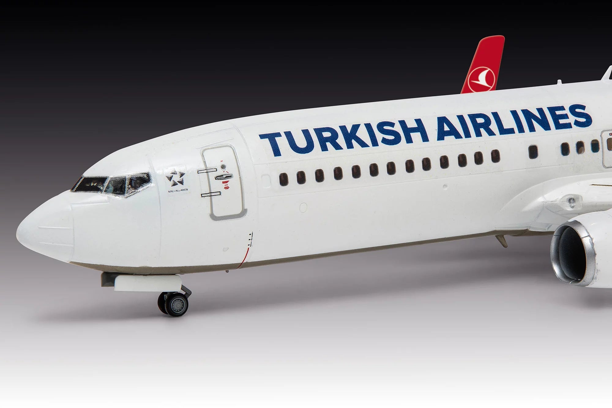 Boeing 737-800 "Turkish Airlines"
