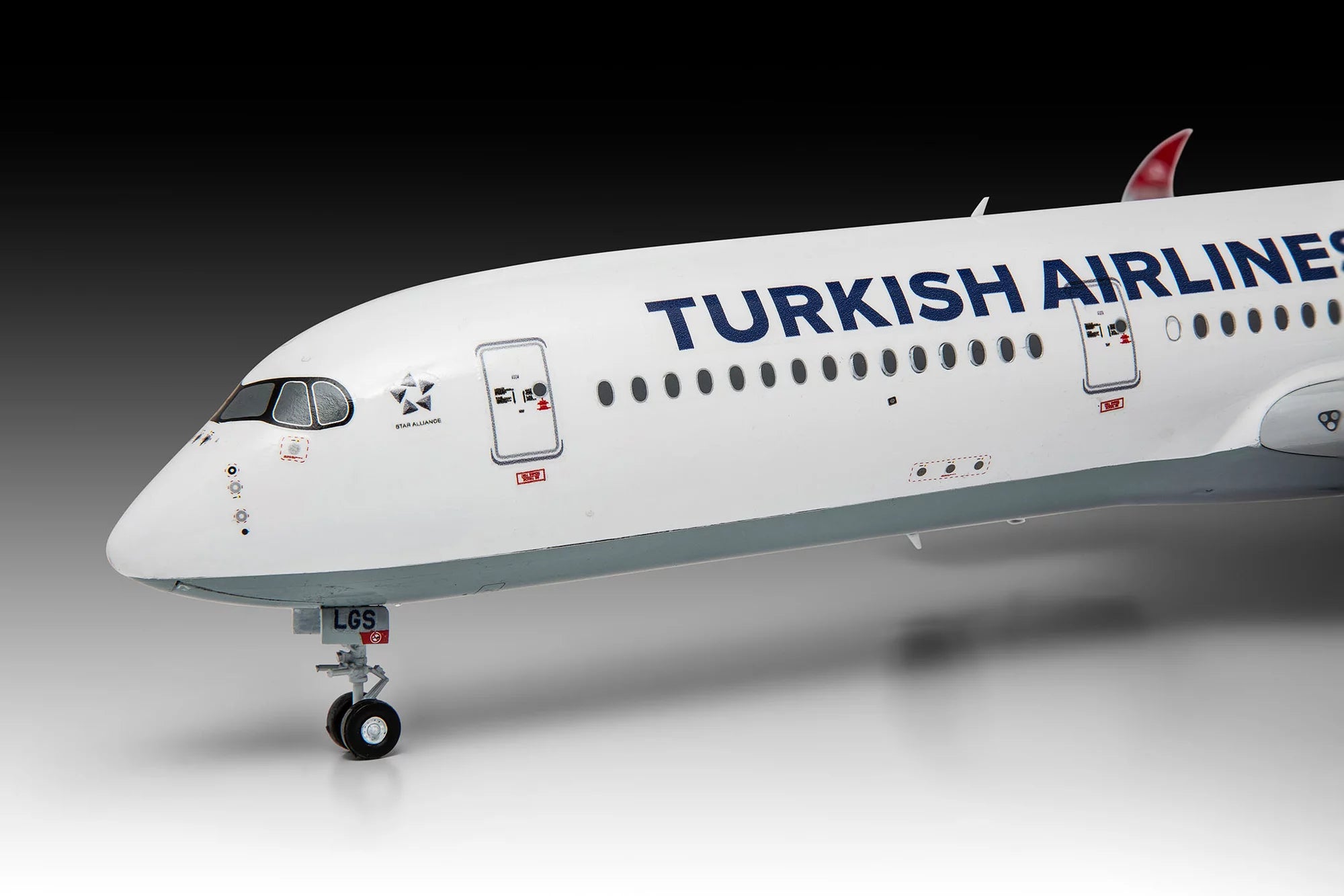 Airbus A350-900 "Turkish Airlines"