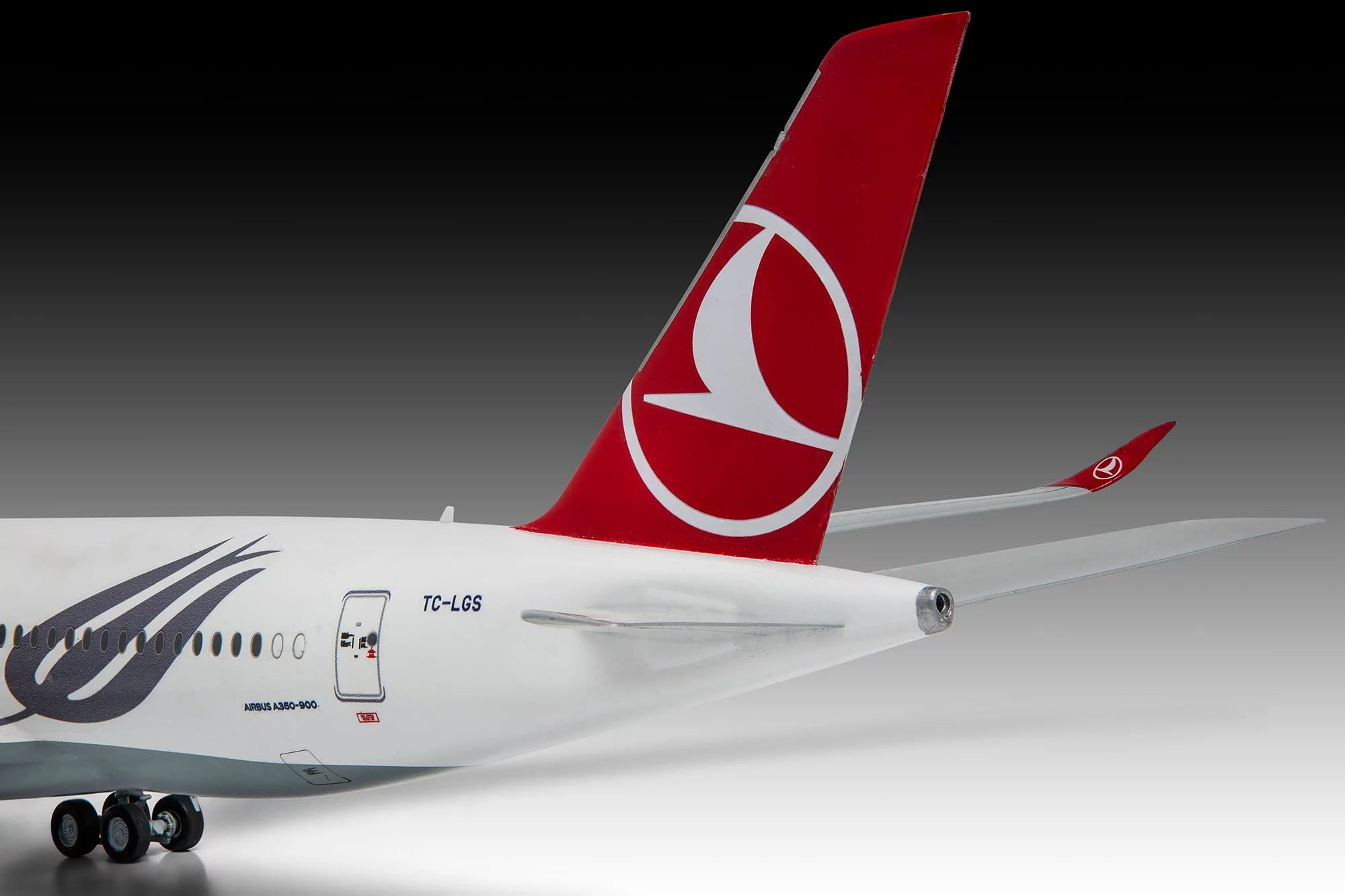 Airbus A350-900 "Turkish Airlines"
