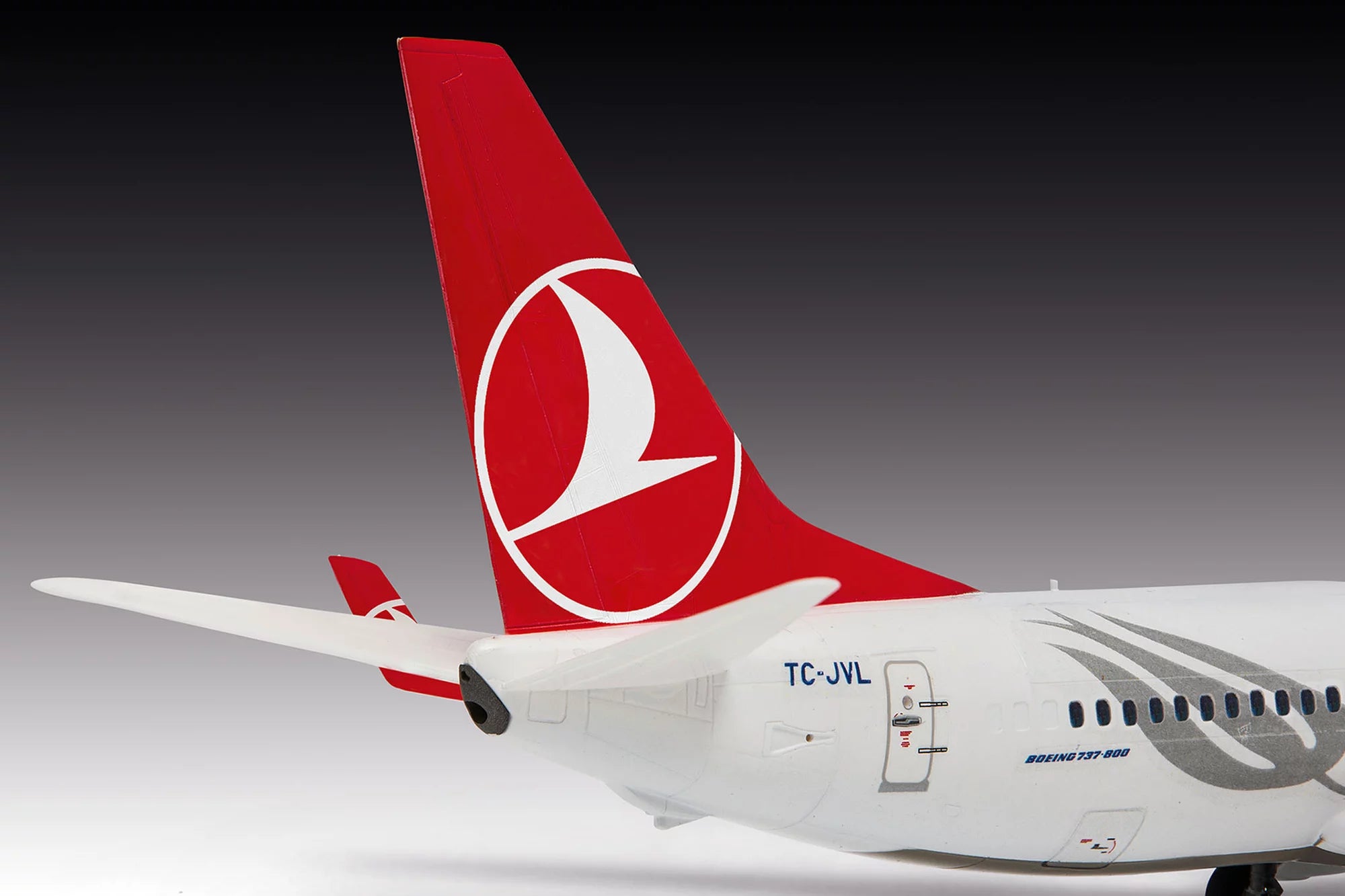 Boeing 737-800 "Turkish Airlines"