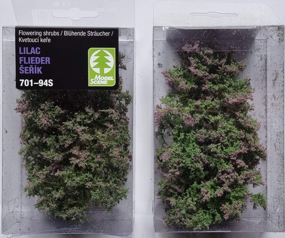 Blühende Sträucher - Flieder Blühende Sträucher - Flieder