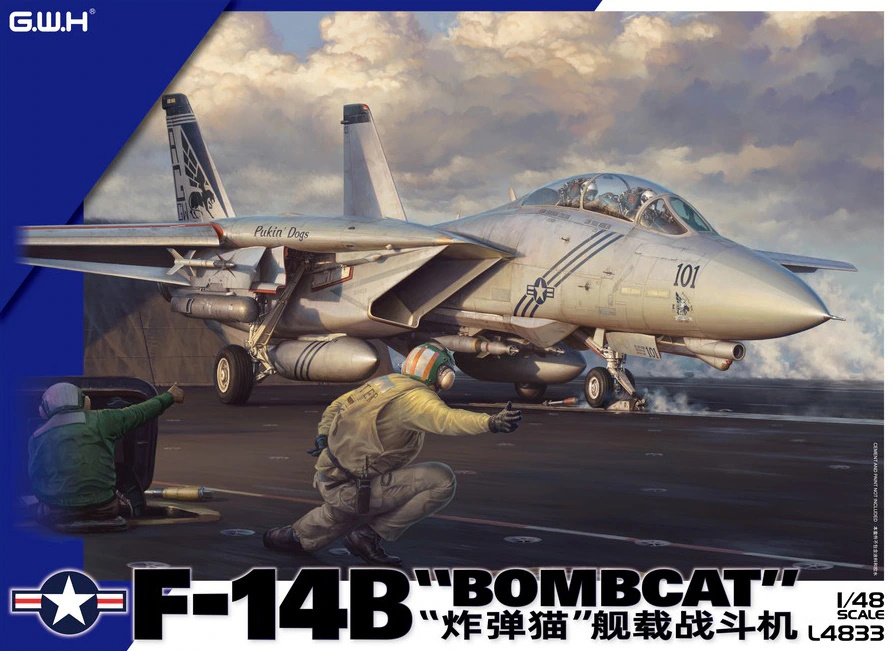 F-14B Bombcat