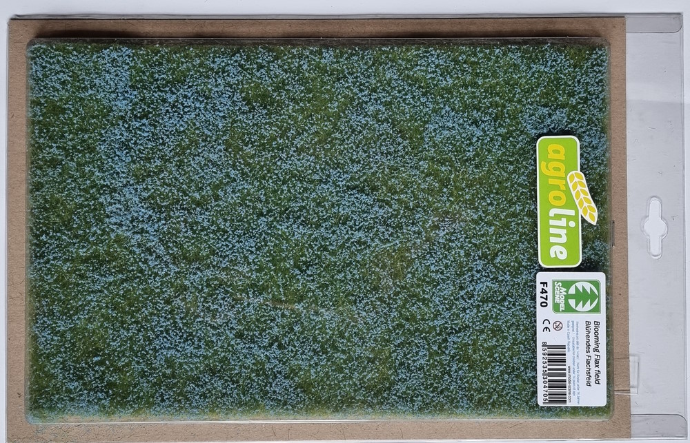 Blühendes Flachsfeld Blühendes Flachsfeld