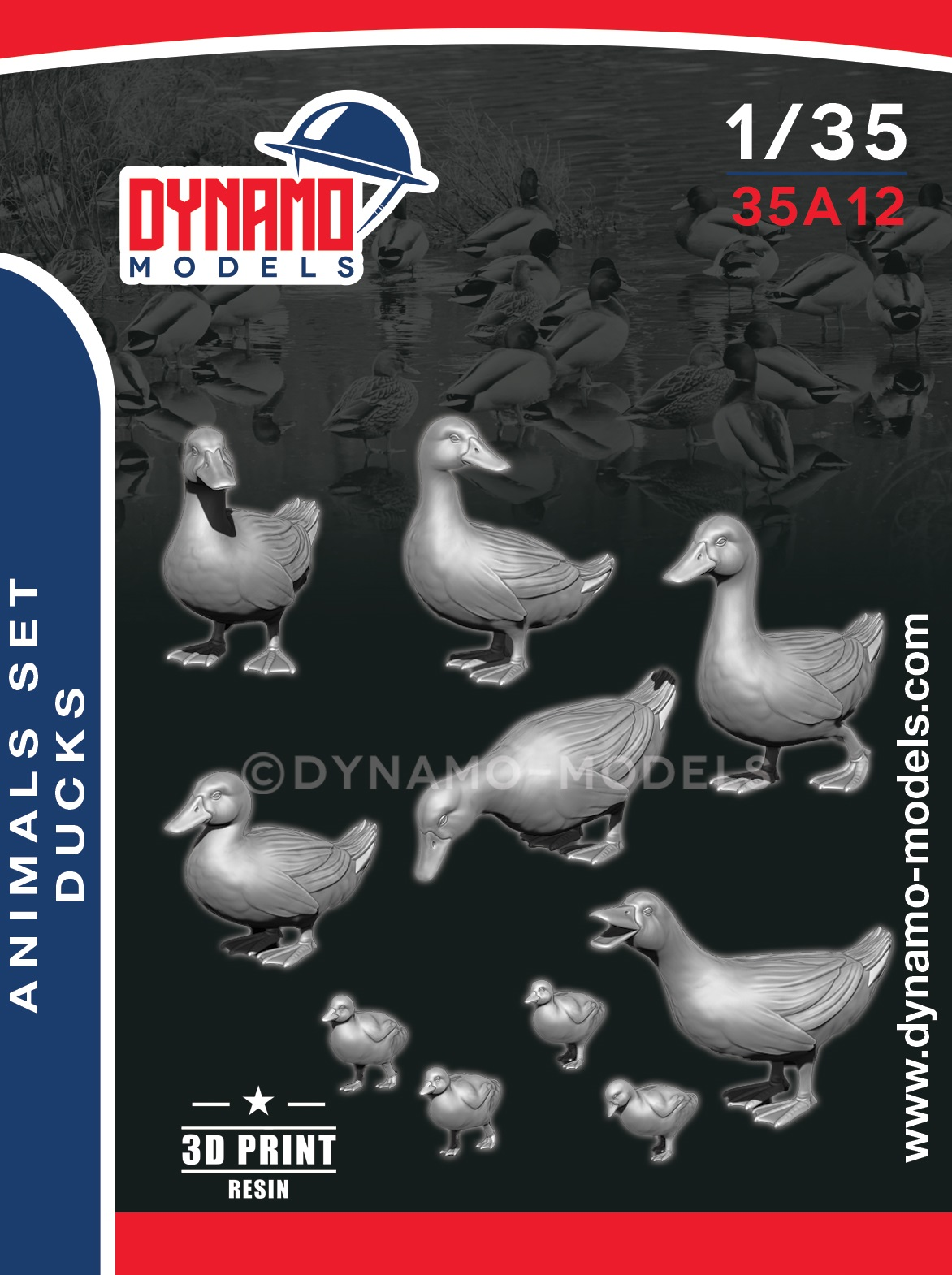 Animals Serie - Ducks